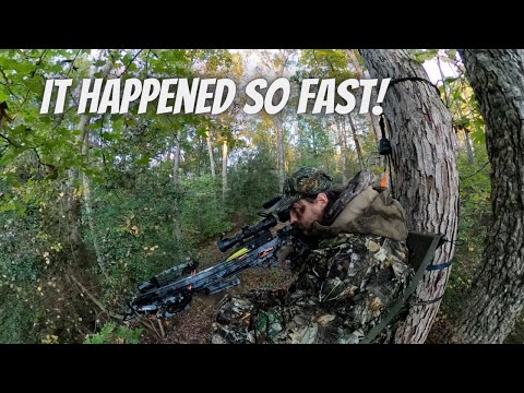 Видео: SC Buck Down с арбалетом — всё произошло так быстро! Снято самостоятельно