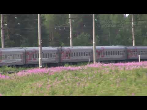 Видео: Сосновец - Беломорск - о.п. Заливы (Октябрьская ж\д, РЖД)