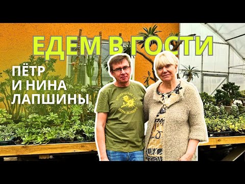Видео: В гостях у Петра Лапшина и Нины. Подкаст: хобби, деньги, три цветка.
