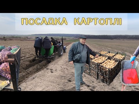 Видео: Саджаємо 15 сортів картоплі. Обробка перед посадкою