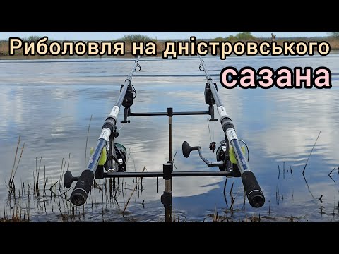 Видео: Риболовля на Глибокому Турунчуку.Сазан ще клює#сазан #турунчук#риболовля2024#дністер