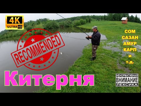 Видео: Рыбалака на сазана,карпа и "золотую рыбку"!!!д.Китерня.Искитимский район.НСО.