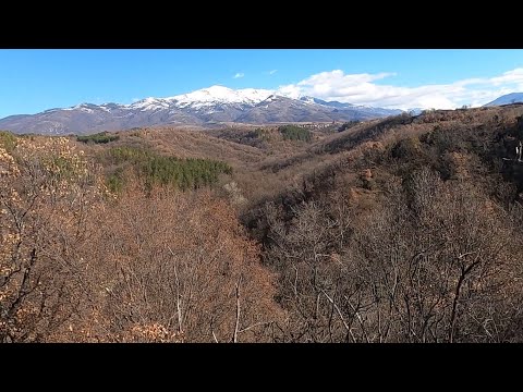Видео: Охота на кабана в Болгарии. Часть 1