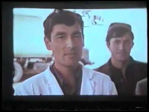 Видео: СССР 1987 года Таджикистан г.Пенджикент колхоз Ленинград