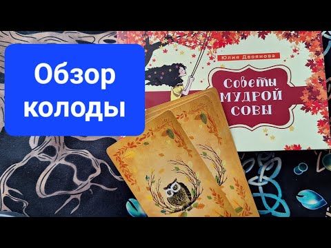 Видео: Обзор колоды "Советы мудрой совы"