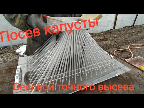 Видео: Посев капусты сеялкой точного высева//Деревня Channel//