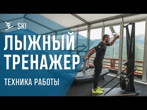 Видео: Техника работы на лыжном тренажере
