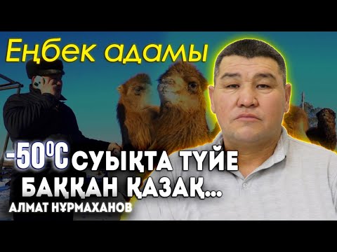 Видео: Өзбекстанға қайта көшуге намыс жібермеді | Ешкім мал баққысы келмейді | Түйеге орыстар қызығады