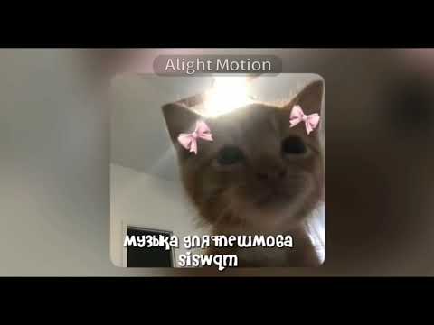 Видео: музыка для флешмоба 🌺🌼