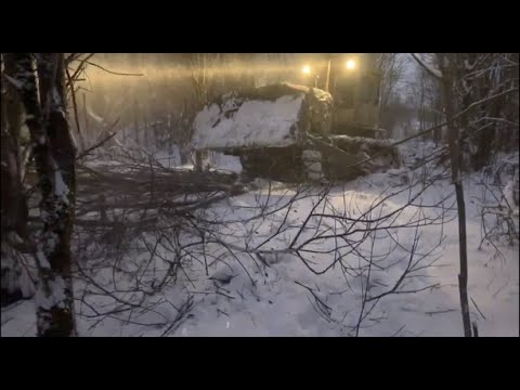 Видео: Пробиваем просеку в лесу бульдозером Т 130 Т 170.