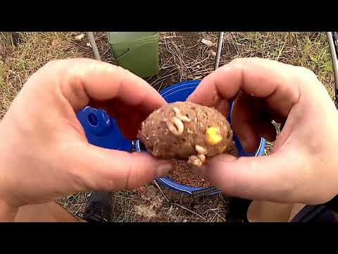 Видео: Рыбалка с ночевкой на Днепре. Ловля подлещика.