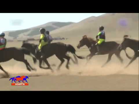 Видео: Үндэсний их баяр наадмын хурдан морьдын уралдаан 2015