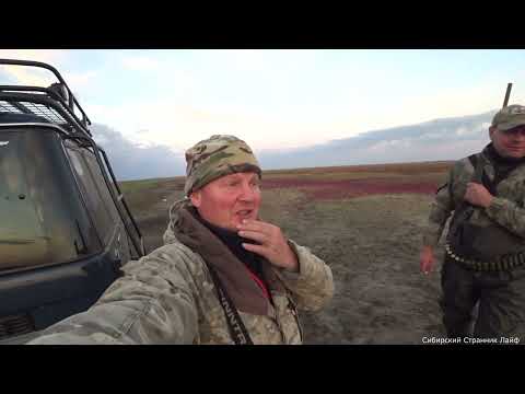 Видео: И у нас бывают такие охоты.. Утки много, но она не летает.