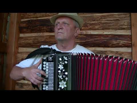 Видео: Белые розы на гармони. White roses.