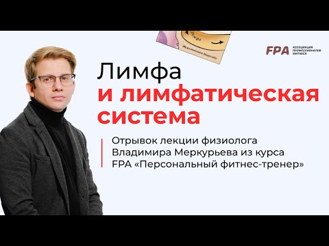 Видео: Лимфа и лимфатическая система | Владимир Меркурьев (FPA)