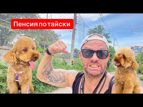 Видео: Пенсионная виза в Таиланде. Отчет 90 дневный  сделал за 5 минут. Прогулка по морю.Джомтьен. Паттайя.