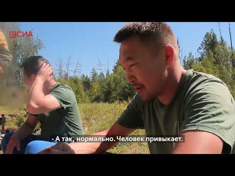 Видео: Один вылет по мониторингу лесов с Авиалесоохраной