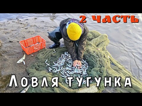 Видео: Рыбалка на тугунка в Северной Якутии