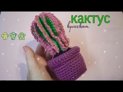 Видео: Вяжем кактус крючком // Мастер-класс