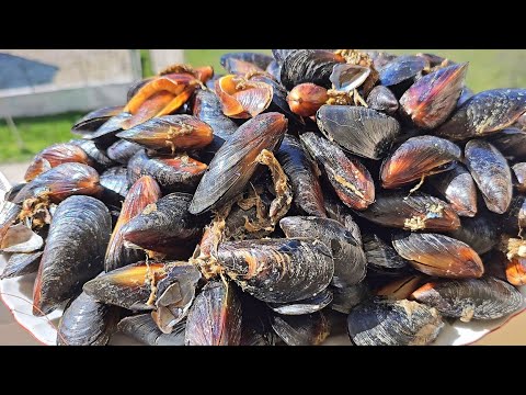 Видео: Как лесно да почистим мидите? Как се чистят скариди Ванамей? Какво трябва да знаем за мидите?