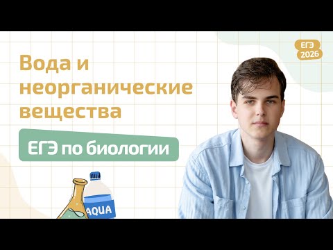 Видео: ВОДА И НЕОРГАНИЧЕСКИЕ ВЕЩЕСТВА | ХИМИЯ КЛЕТКИ | ЕГЭ ПО БИОЛОГИИ