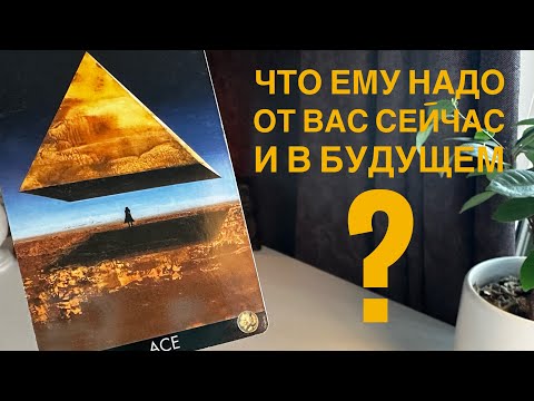Видео: Что ему надо от вас сейчас и в будущем?