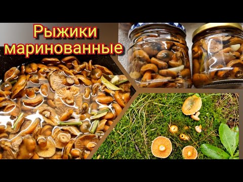 Видео: Яркие  и ароматные.. Маринованные Рыжики  на зиму!