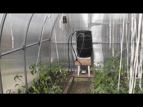 Видео: Система автоматического капельного точечного полива Аква Дуся. Садовая техника.
