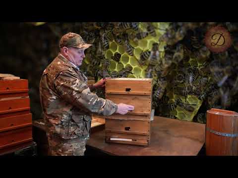 Видео: КЛАСИЧЕСКИЙ МЕТОД