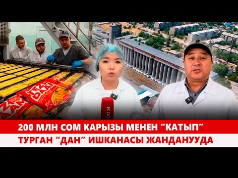 Видео: 200 млн сом карызы менен “катып” турган “Дан” ишканасы жанданууда