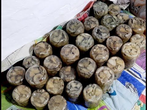 Видео: Маринованные грузди на зиму👍👍👍
