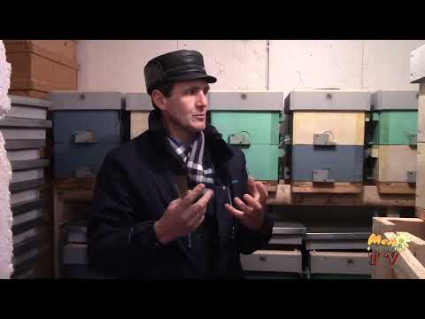 Видео: Зимівля нуклеусів - "екватор" пройдено.