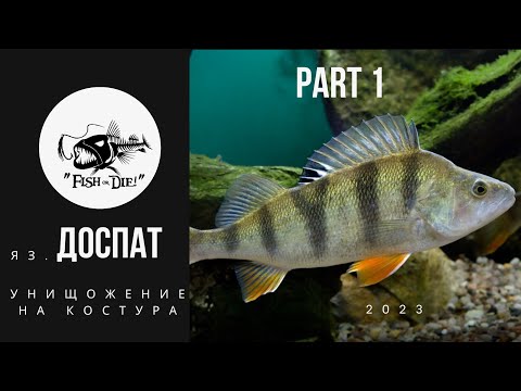 Видео: Яз. Доспат 2023 унищожение на Костури - Dospat lake destroying the perch part 1