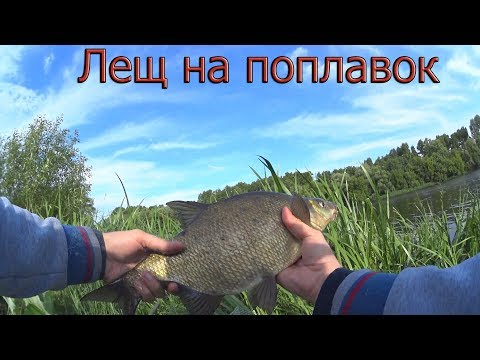 Видео: ПАРЕНАЯ ПЕРЛОВКА  творит чудеса! Ловля леща на поплавочную удочку  ПОЙМАЛ САМУЮ КРУПНУЮ РЫБУ В ЖИЗНИ