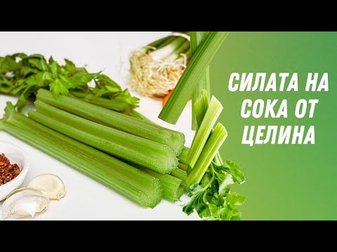 Видео: Силата на Сока от Целина - (Топ 10) Ползи от Пиенето на Сок от Целина