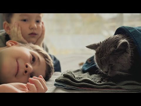 Видео: Месяц без трат - прошло 10 дней - мои выходные - будни без денег