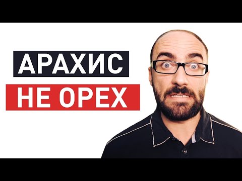 Видео: Ошибочные наименования | Vsauce на русском