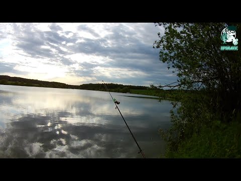 Видео: Щука на закидушки. Ленивая рыбалка