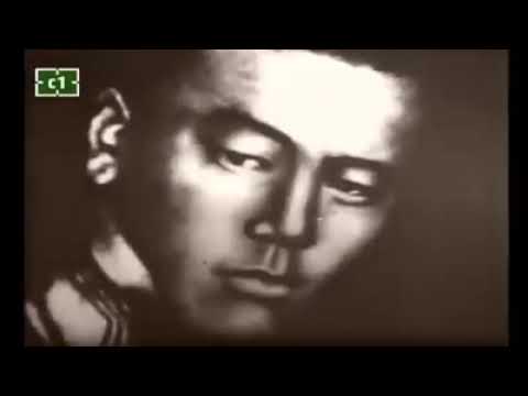 Видео: Д.Сүхбаатар - Баримтат кино