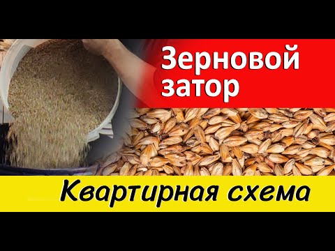 Видео: Солодовая брага ГОС. Квартирная схема.