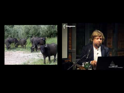 Видео: Лекция "Помпеи. Град обреченный" Александра Бутягина