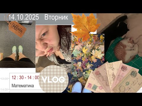 Видео: VLOG//колледж//спорт//рутина//домашнее задание 🍁🤍📸 #спорт #колледж #ранхигс #макияж #эстетика #влог 