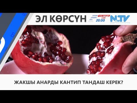 Видео: ЖАКШЫ АНАРДЫ КАНТИП ТАНДАШ КЕРЕК?
