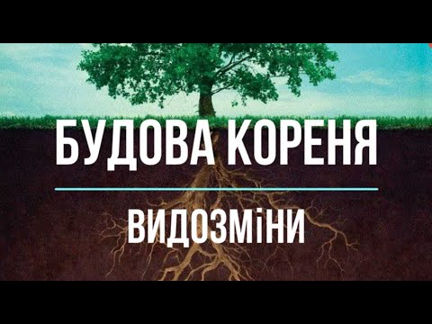 Видео: Будова кореня / Зони кореня / Видозміни кореня