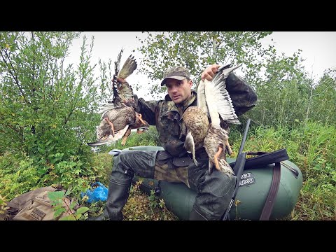 Видео: НАСТРЕЛЯЛ КУЧУ УТОК В ЛЕТ. КЛАССНЫЕ ВЫСТРЕЛЫ ПО УХОДЯЩИМ. ТАКАЯ ОХОТА НЕ ЧАСТО БЫВАЕТ!!!