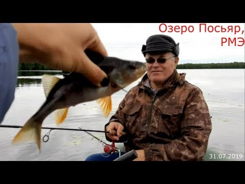 Видео: 422. Озеро Посьяр, РМЭ. Рыбалка на окуня. 31.07.2019. ЗоЛиКс