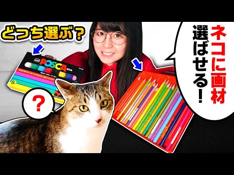 Видео: Мой кот выбирает материалы для рисования!!Работа очень милая.