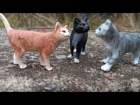 Видео: Воины Романовки 1 серия Стань Диким