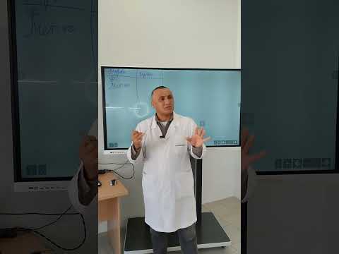 Видео: Понятие частной микробиологии 