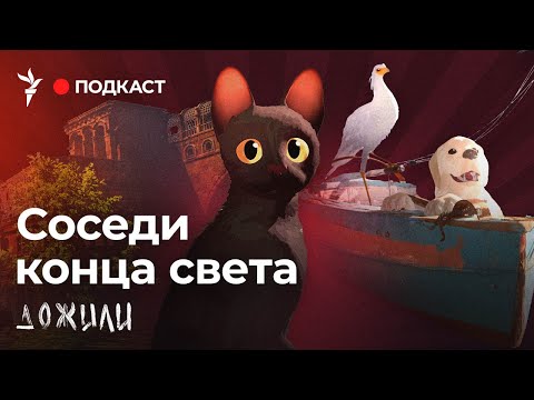 Видео: Соседи конца света | Подкаст "Дожили"